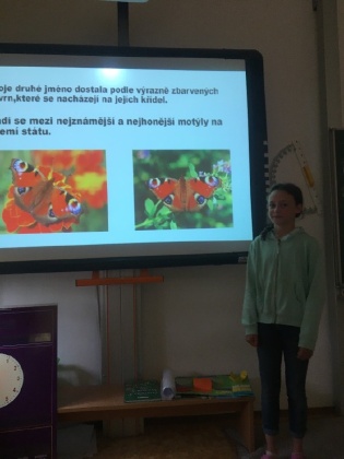 Obrázek v galerii