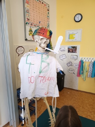 Obrázek v galerii