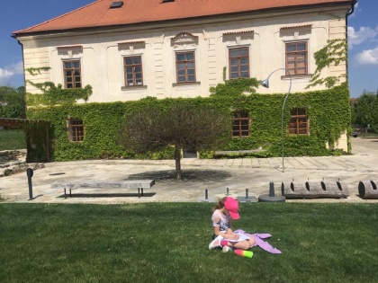 Obrázek v galerii