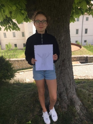 Obrázek v galerii