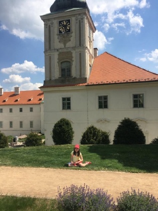 Obrázek v galerii