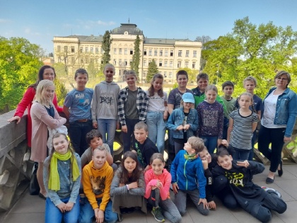 Obrázek v galerii