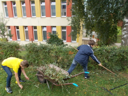 Obrázek v galerii