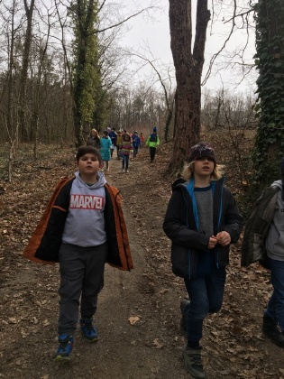 Obrázek v galerii