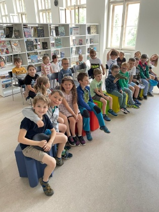 Obrázek v galerii