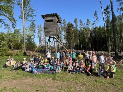 Obrázek v galerii