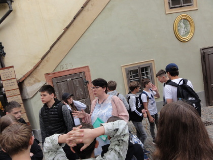Obrázek v galerii
