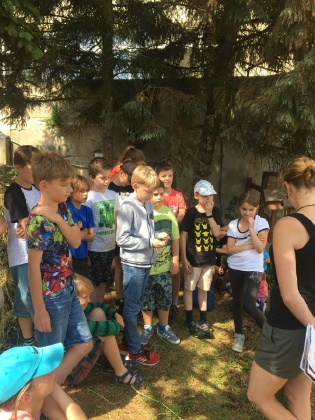 Obrázek v galerii