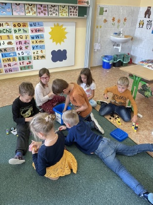 Obrázek v galerii