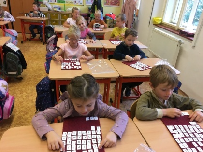 Obrázek v galerii