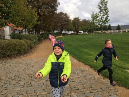 Obrázek v galerii