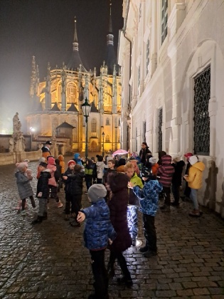 Obrázek v galerii