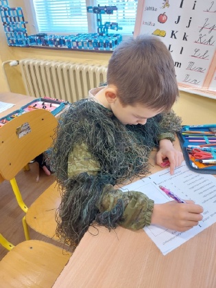 Obrázek v galerii