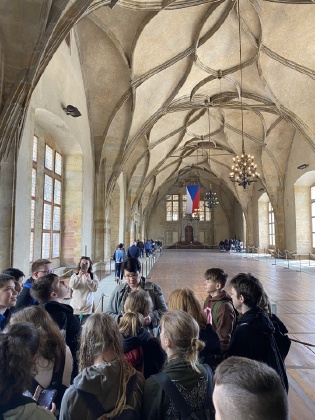 Obrázek v galerii