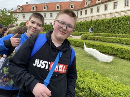 Obrázek v galerii