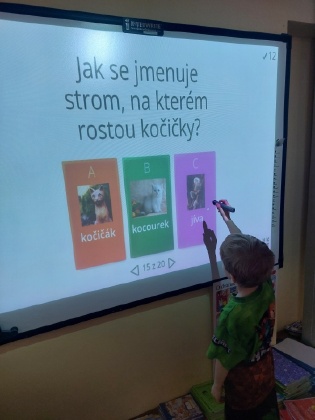 Obrázek v galerii