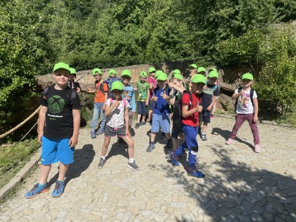 Obrázek v galerii