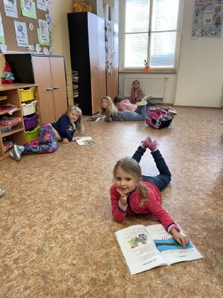 Obrázek v galerii