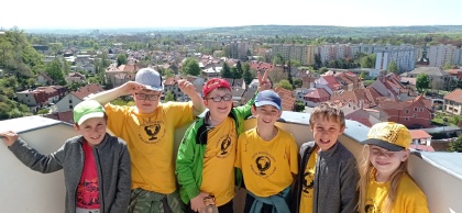 Obrázek v galerii