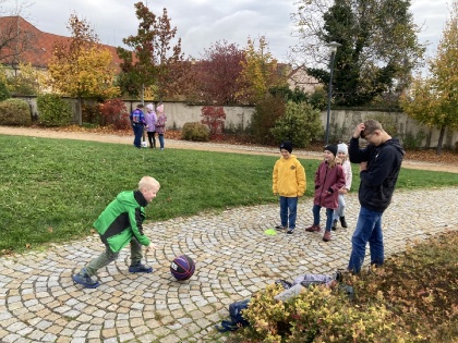 Obrázek v galerii