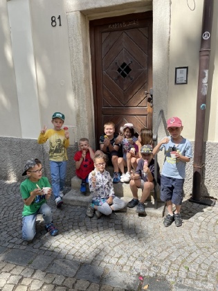 Obrázek v galerii