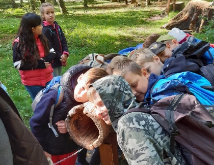 Stromy a keře poznávali na Kačině třeťáci z áčka