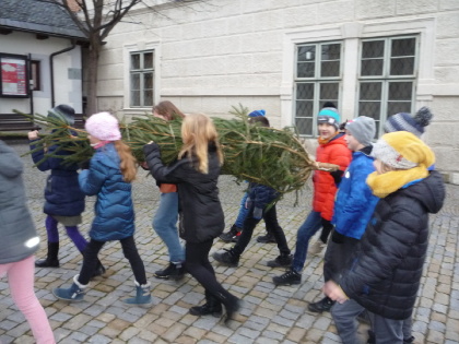 Obrázek v galerii