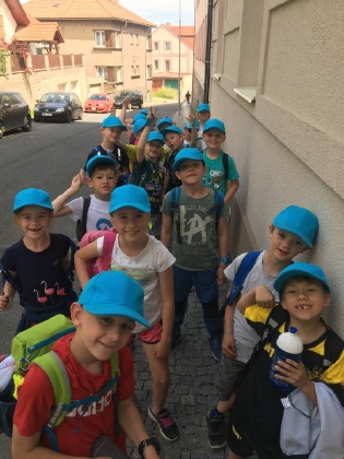 Obrázek v galerii