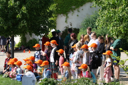 Obrázek v galerii