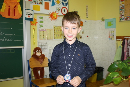 Obrázek v galerii