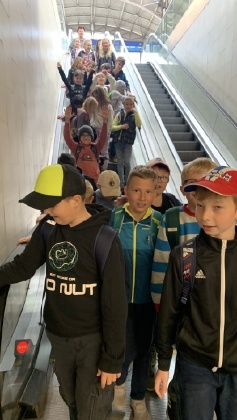 Obrázek v galerii