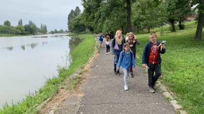 Obrázek v galerii
