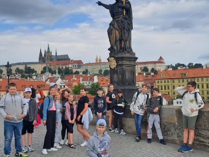 Obrázek v galerii