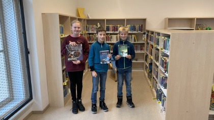 Obrázek v galerii