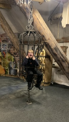Obrázek v galerii
