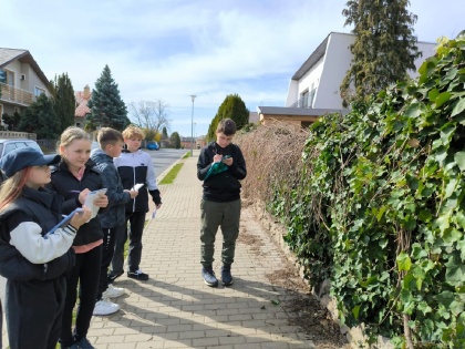 Obrázek v galerii