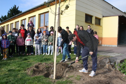 Prvňáčci s osmáky zasadili strom