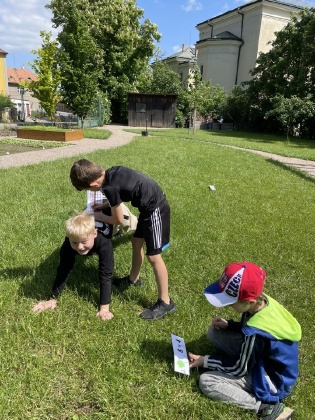 Obrázek v galerii