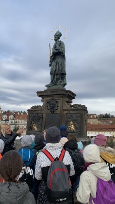 Obrázek v galerii