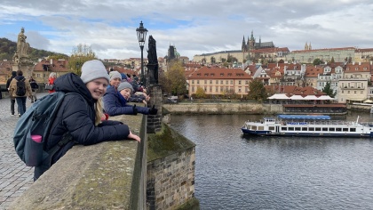 Obrázek v galerii