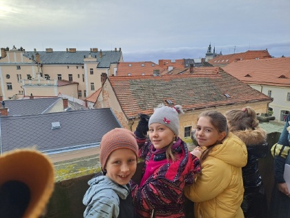 Obrázek v galerii