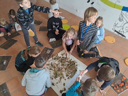 Obrázek v galerii