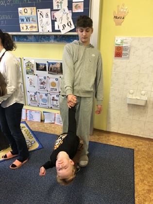 Obrázek v galerii