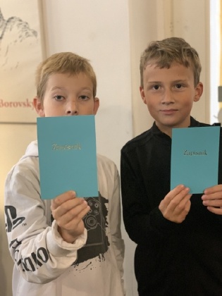Obrázek v galerii