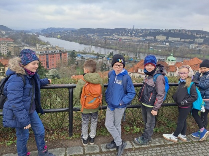 Obrázek v galerii
