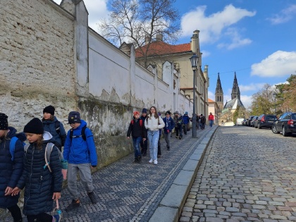 Obrázek v galerii