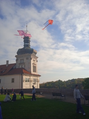 Obrázek v galerii