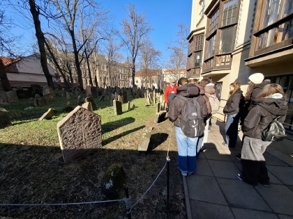 Obrázek v galerii