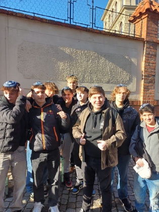 Obrázek v galerii
