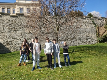 Obrázek v galerii